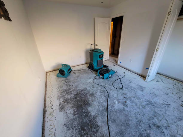 Best Commercial water damage restoration  in Savannah, TN