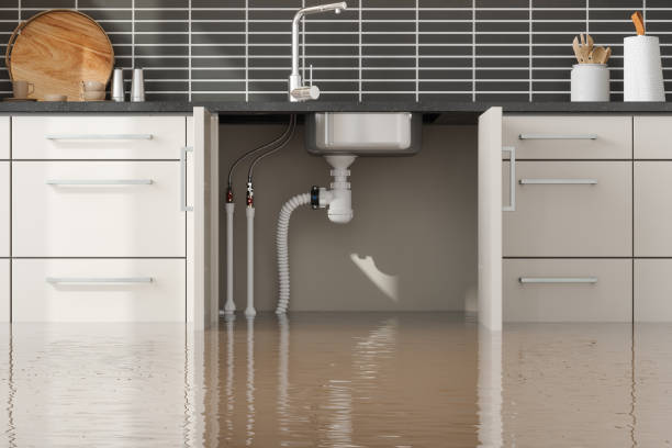 Best Water damage cleanup near me  in Savannah, TN